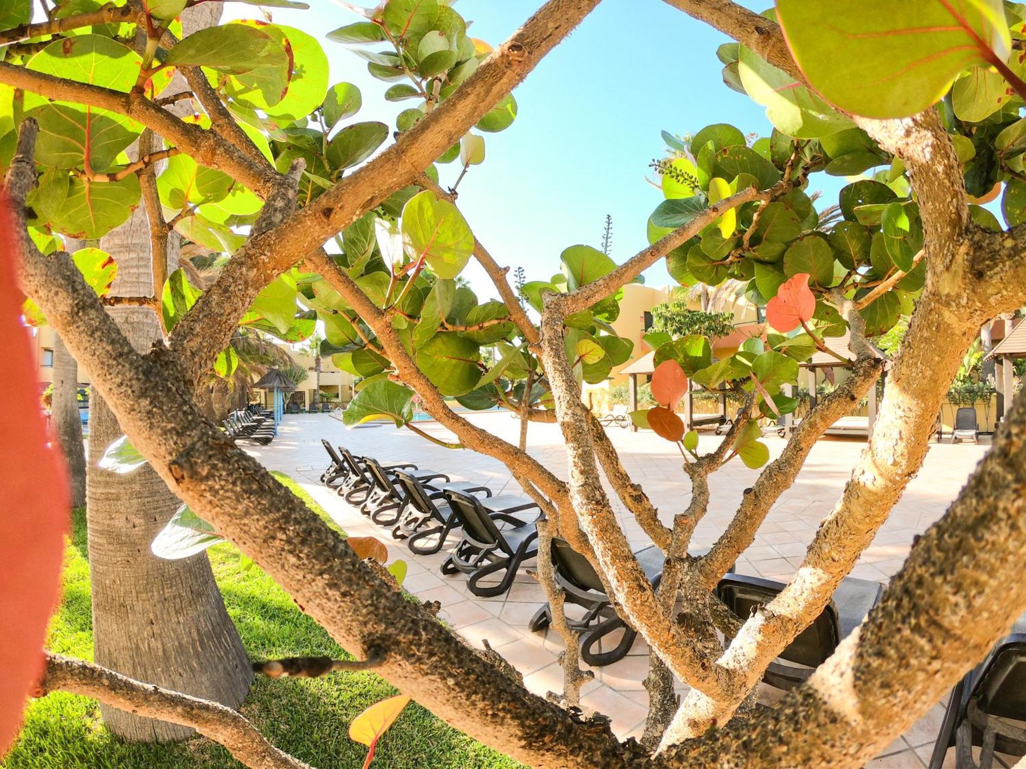 Drago 1 Atlantic Garden Apartment Коральео Экстерьер фото